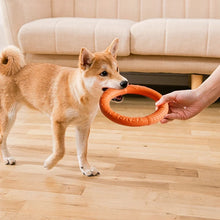 Dog Pull Ring Toy for Training & Biting Resistance