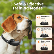 Dog Collar with Remote Control