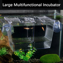 Acrylic Fish Breeding