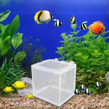 Fish Breeder Box with Suction