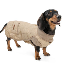 Quilted Winter Jacket For Small Dogs