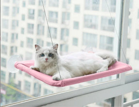 Colourful Aerial House for Kittens