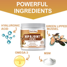 Hip and Joint Supplement for Dogs