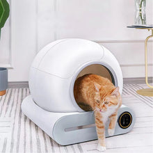 Large Toilet Litter Box for Cats