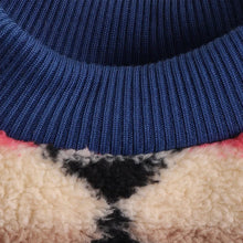 Thick Plush Winter & Autumn Pet Hoodie