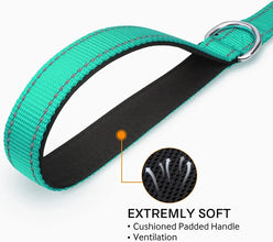 Reflective Pet Harness and Leash Set