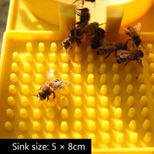 Bee Feeder Drinking Water Box