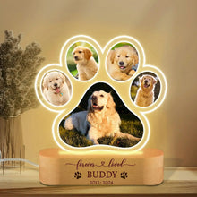 Custom Pet Memorial Night Light Photo
