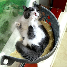 Hanging Sleeping Bed for Cats