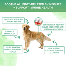 Allergy & Immune Support Chews for Dogs