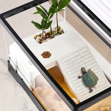 Large Transparent Turtle Tank Aquarium