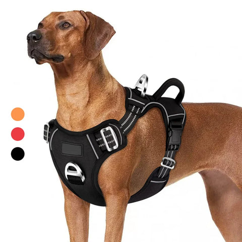 No Pull Reflective Dog Harness, Adjustable, 2 Leash Clips