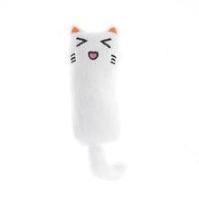 Catnip Cat Toy with Rustle Sound Plush Pillow