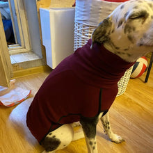 High Collar Dog Sweater