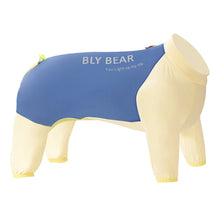 Dog Cooling Vest for Summer