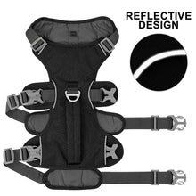 Escape Proof Nylon Dog Harness