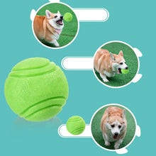 Interactive Dog Ball and Fetch Toy