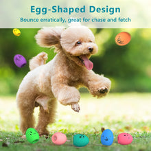 Fun Squeaky Egg Toy