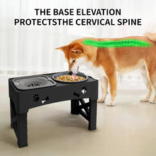 3-in-1 Pet Feeder