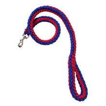 1.2M Nylon Dog Leash for Medium Large Dogs Training Walking Safety