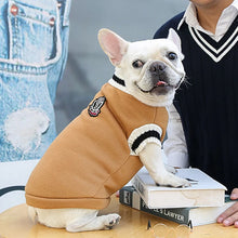 V-Neck Sweater for Dogs & Cats