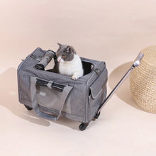 Foldable Pet Carrier with Strollers