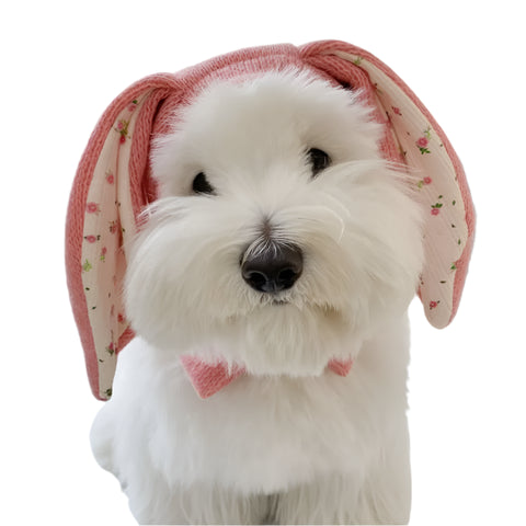 Rabbit Ears Dog Hat