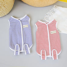 Cat Recovery Clothes