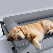 Removable And Washable Off-The-Ground Pet Bed