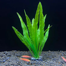 Aquarium Artificial Plant