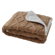 Thick Pet Plush Blanket for Winter
