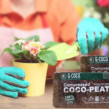 Coco Peat Organic Coconut Fiber Substrate