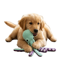 Squeaky Octopus Dog Toy