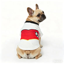 Summer Dog Soccer Jersey Vest