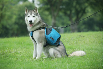 Saddle Bag Pet Harness Carrier