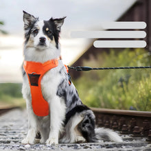 Pet Reflective Nylon Vest Harness