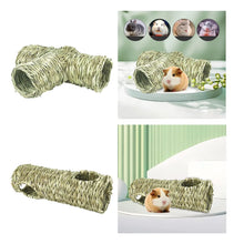 Tunnel Toy Interactive Toy