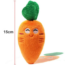 Carrot Squeaky Plush Toy