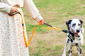 Heavy Duty Tactical Bungee Dog Leash with Seatbelt