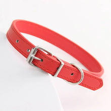 Colourful Leather Collars for Cats