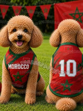 Puppy Football Summer Vest Outfit