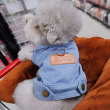 Spring Denim Coat with Leash Ring for Dogs