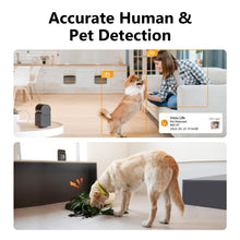 WiFi Camera with Human & Pet Detection