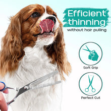 5-in-1 Pet Grooming Scissors Set