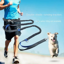 Retractable Bungee Canicross Dog Leash