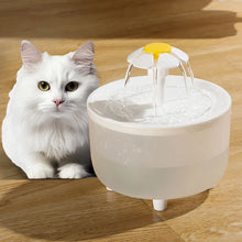 1L Pet Water Fountain with Filter