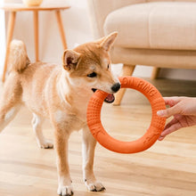 Dog Pull Ring Toy for Training & Biting Resistance