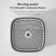 3L Automatic Pet Water Fountain with USB Pump and Filter