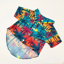 Hawaiian Inspired Beach Wear For Pets