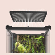 Amphibious Climbing Pet Breeding Box
